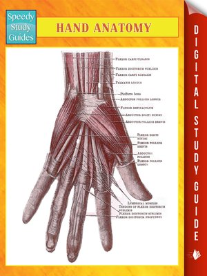 cover image of Hand Anatomy